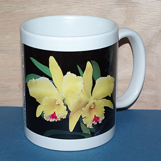 mug DS-038 Pot Mt Yellowthorne on blk 6823.jpg